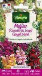 Fleurs - Muflier (Gueule de Loup) Goupil Varié - PACKAGING_RECTO